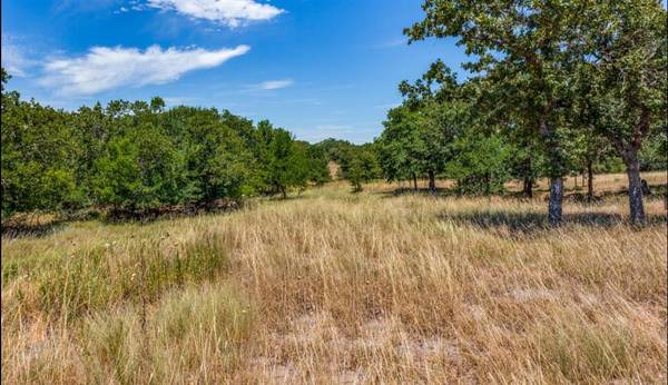 Lipan, TX 76462,271 Creek Meadow Court