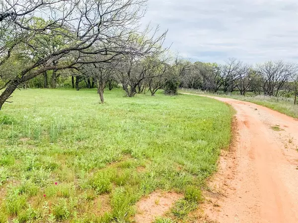 TBD CR 146 Tract 20, Breckenridge, TX 76437