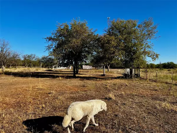 Bangs, TX 76823,1207 N West Street