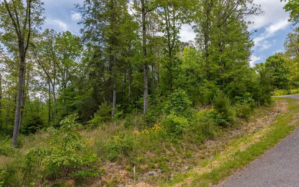 Mineral Bluff, GA 30559,Lot HP22 Old Toccoa Loop