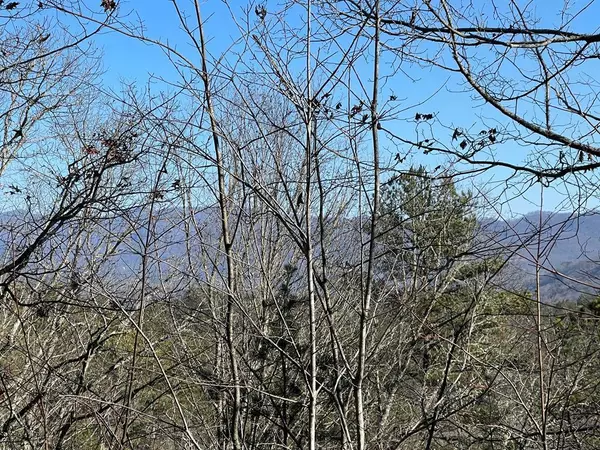 000 Mistletoe Rdg, Murphy, NC 28906