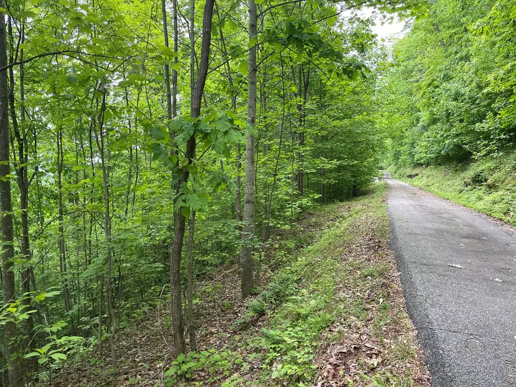 Murphy, NC 28906,00 Ten Pointe Trail