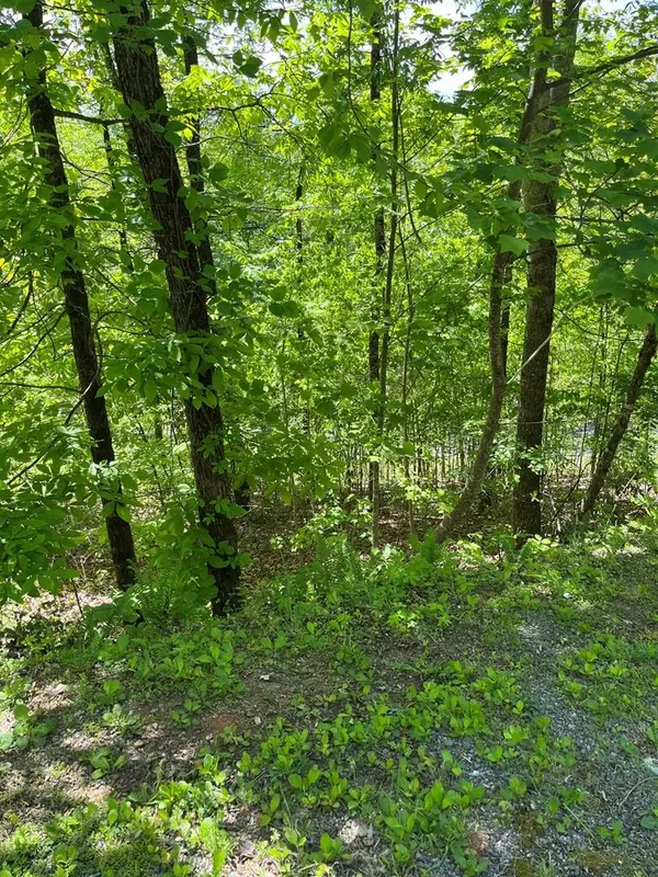 Lot 23M Ridges Fairway, Hayesville, NC 28904