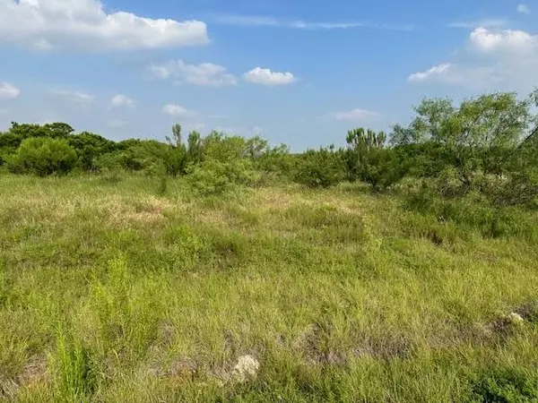 Lot 97 Canyon Wren S, Possum Kingdom Lake, TX 76449