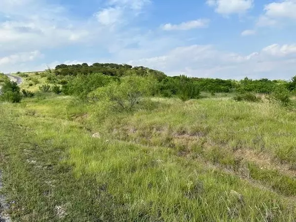 Possum Kingdom Lake, TX 76449,Lot 97 Canyon Wren S