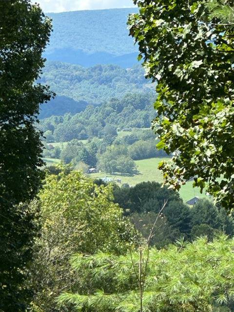 TBD Old Bridle Creek Rd., Independence, VA 24348