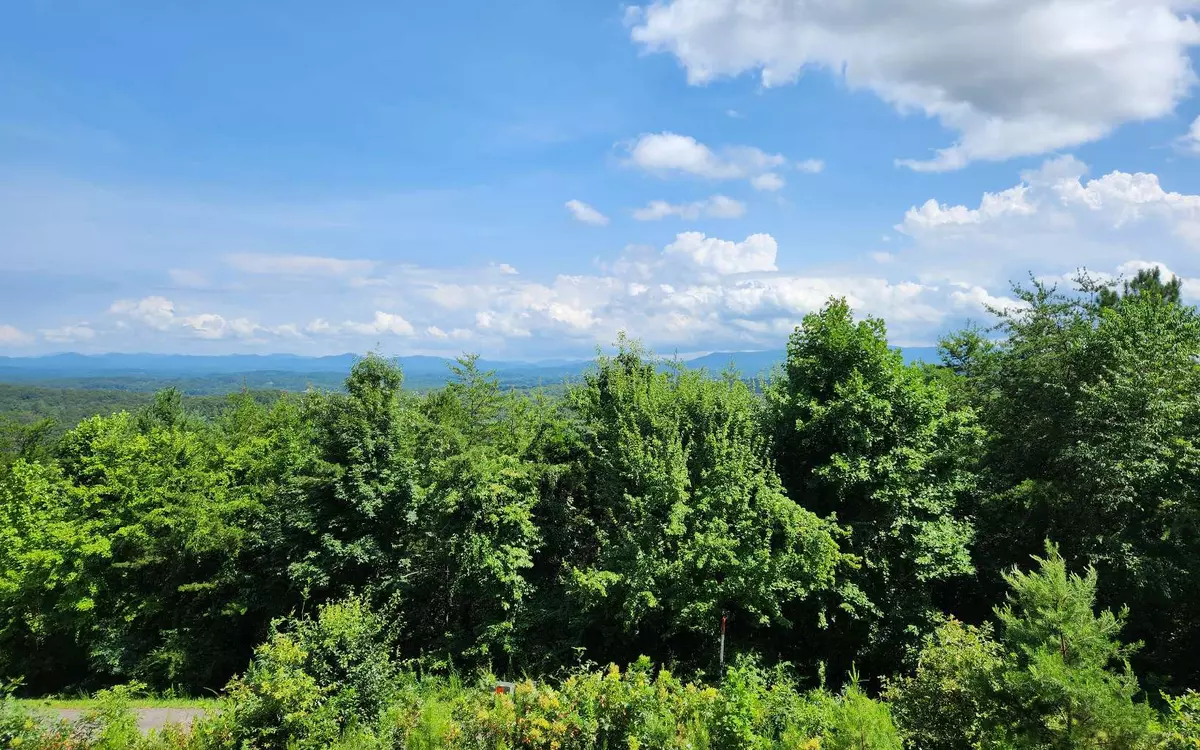 Blue Ridge, GA 30513,Lookout Lookout Drive Lt 33