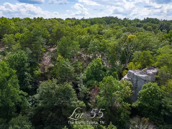 Sparta, TN 38583,Lot 55 High Rock @ The Bluffs