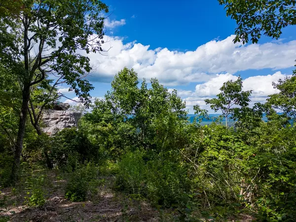 Sparta, TN 38583,Lot 55 High Rock @ The Bluffs