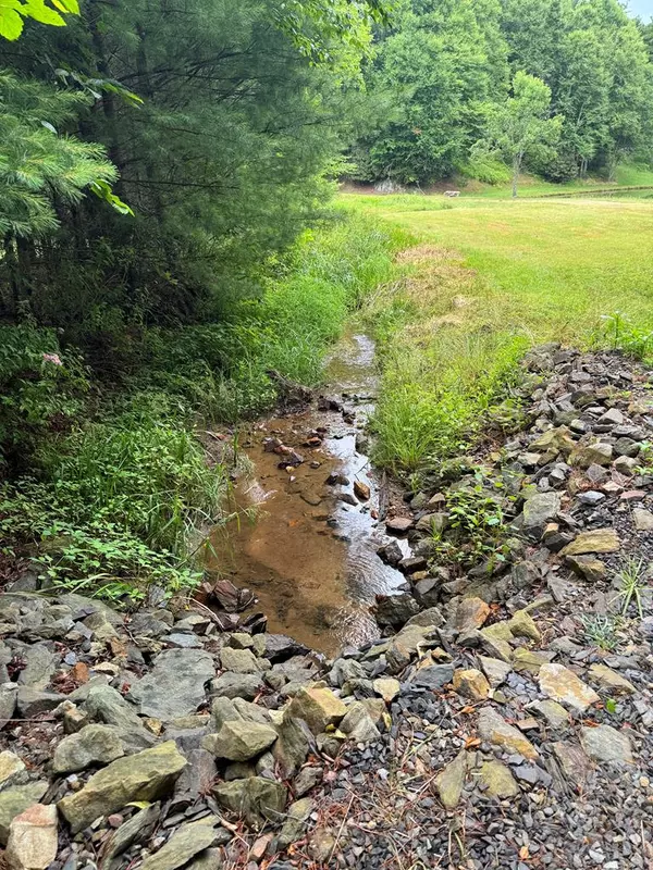 Laurel Fork, VA 24352,Bellspur Bellspur rd