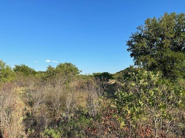 Graford, TX 76449,Lot 705 Canyon Wren Loop