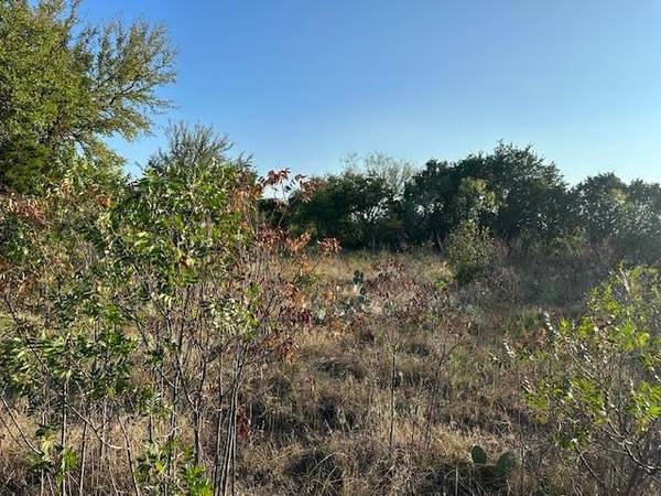 Graford, TX 76449,Lot 705 Canyon Wren Loop