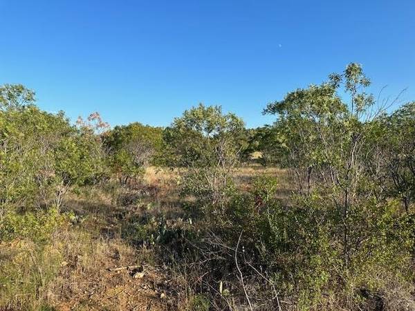 Graford, TX 76449,Lot 705 Canyon Wren Loop