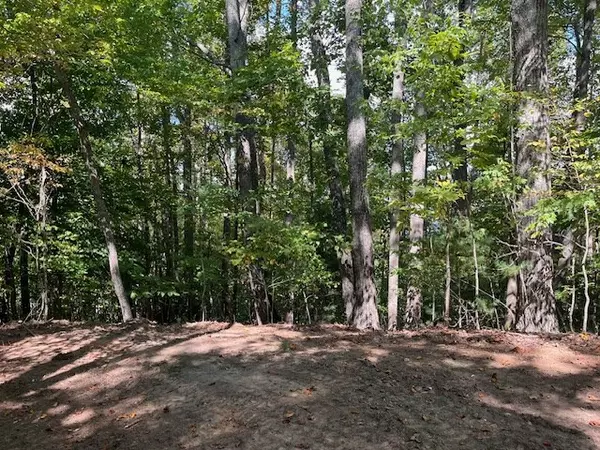 Hayesville, NC 28904,Lot 26 Longview Drive