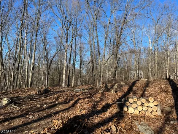 Vernon Twp., NJ 07461,Lot 14 Crest Hill Dr