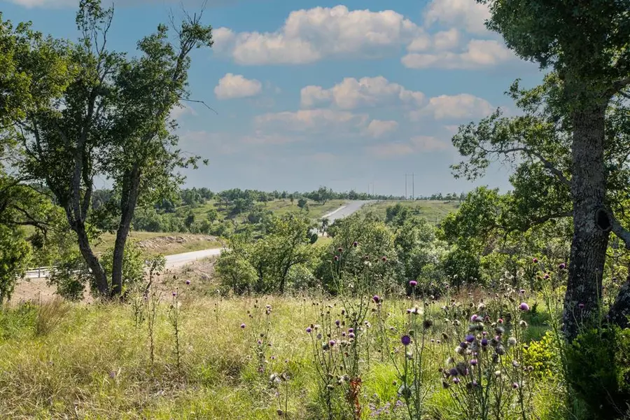 Lot 21 -- Canyon Dr., Fredericksburg, TX 78624