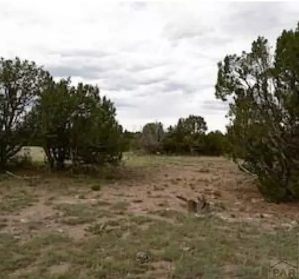 Rye, CO 81069,Lot 140 Caboose Ln