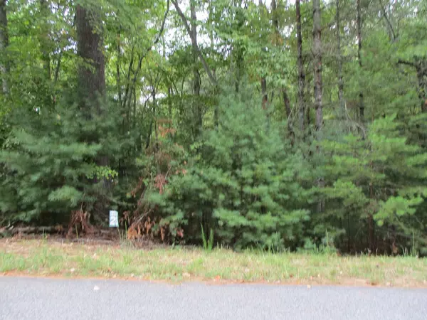 Blairsville, GA 30512,Lot 25 Byers Road