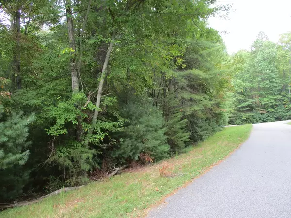 Blairsville, GA 30512,Lot 25 Byers Road