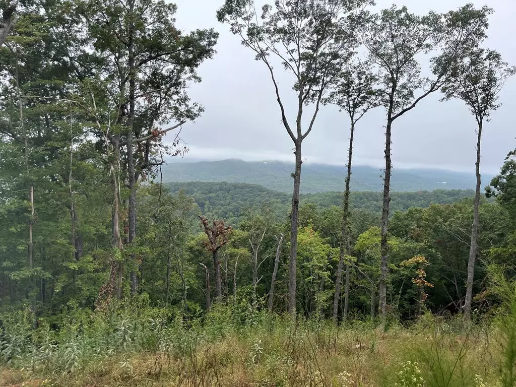 Mineral Bluff, GA 30559,Lot 244 Mountain High Drive