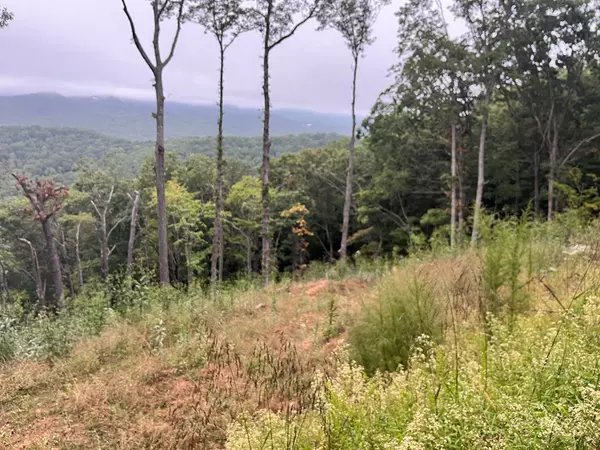 Mineral Bluff, GA 30559,Lot 244 Mountain High Drive