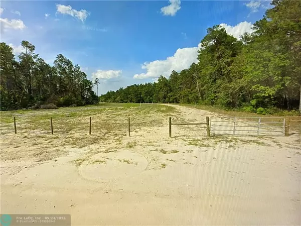 Other City - In The State Of Florida, FL 32666,0000 Lone Pine Trail