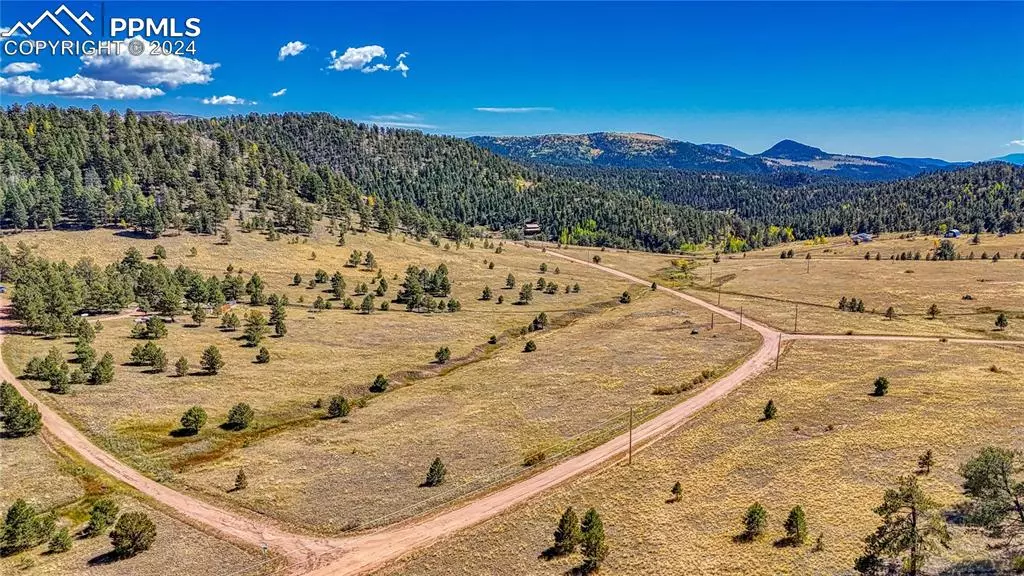 Florissant, CO 80816,667 Penrose CIR