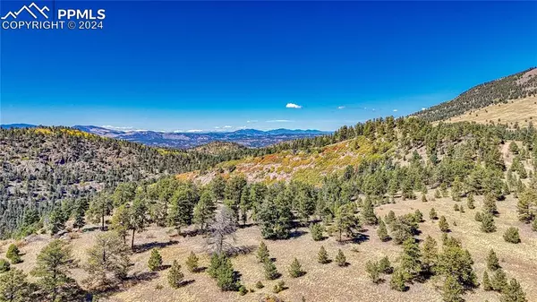 Florissant, CO 80816,667 Penrose CIR