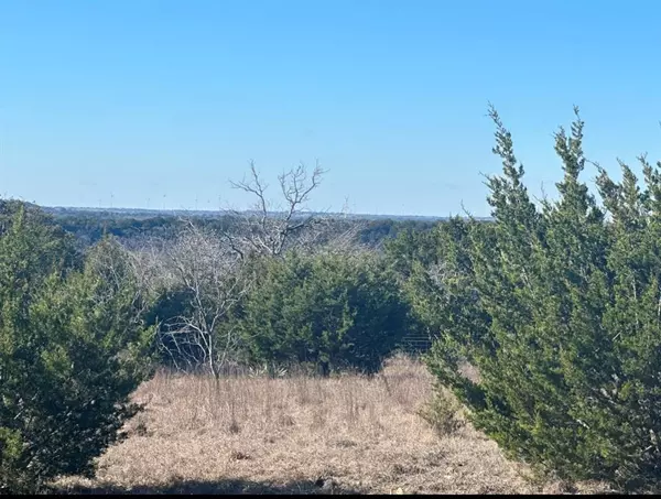 Goldthwaite, TX 76844,31 CR 249