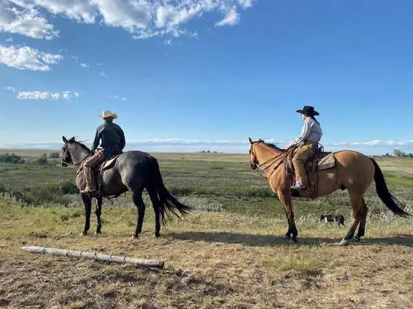 Rural Foothills County, AB T0L 0P0,570 AVE