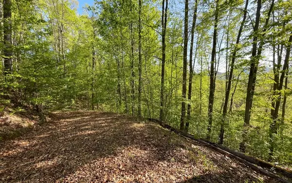 Lot 1 C Lakewood Hills, Hayesville, NC 28904