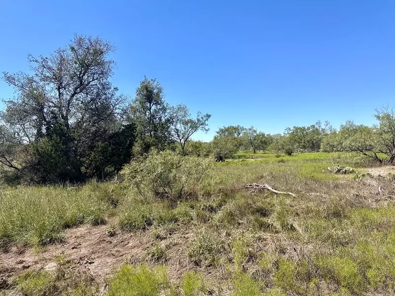 12088 Mule Deer Trail, San Angelo, TX 76901