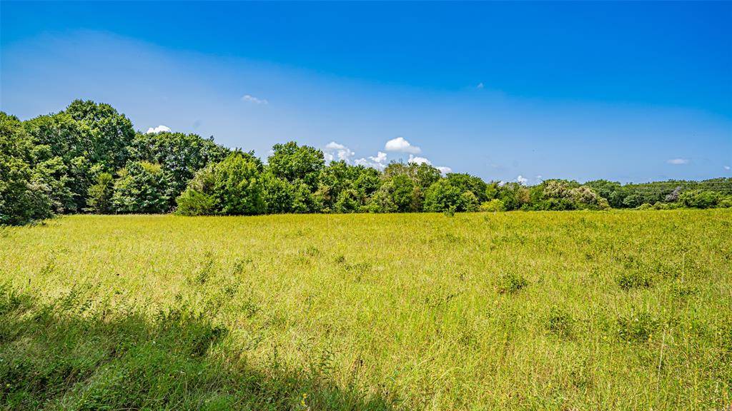 Azle, TX 76020,TBD # 4 Briar Road