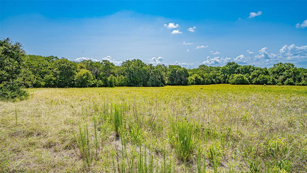 Azle, TX 76020,TBD # 5 Briar Road