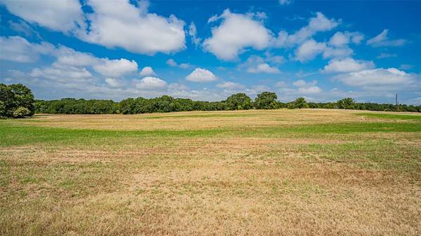 Azle, TX 76020,TBD 1 Briar Road