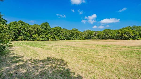 Azle, TX 76020,TBD #3 Briar Road