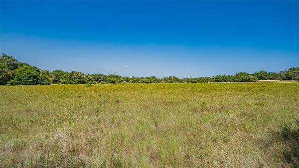 Azle, TX 76020,TBD # 4 Briar Road