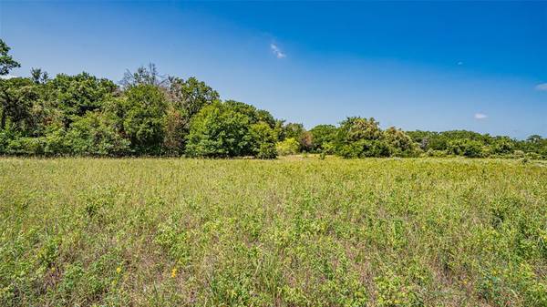 Azle, TX 76020,TBD # 4 Briar Road