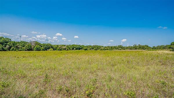 Azle, TX 76020,TBD # 5 Briar Road