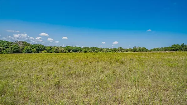 Azle, TX 76020,TBD # 5 Briar Road