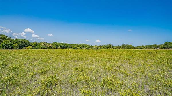 Azle, TX 76020,TBD # 5 Briar Road