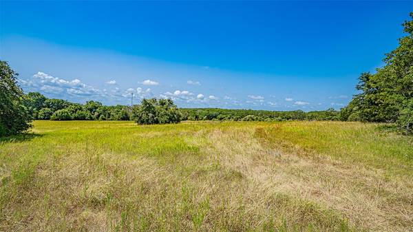 Azle, TX 76020,TBD # 6 FM 730 Road