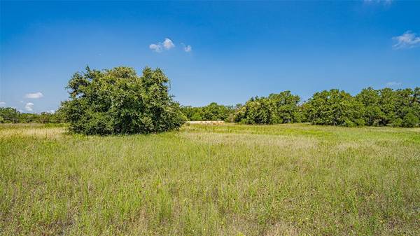 Azle, TX 76020,TBD # 6 FM 730 Road