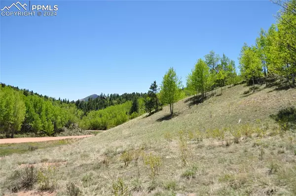 Cripple Creek, CO 80813,81 Strong CT