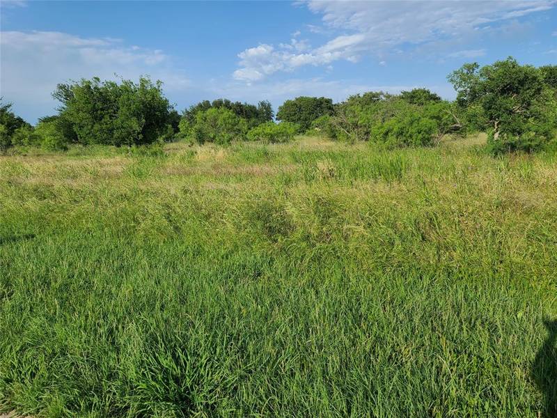 TBD Lot 31 Bear Path Way, Brownwood, TX 76801