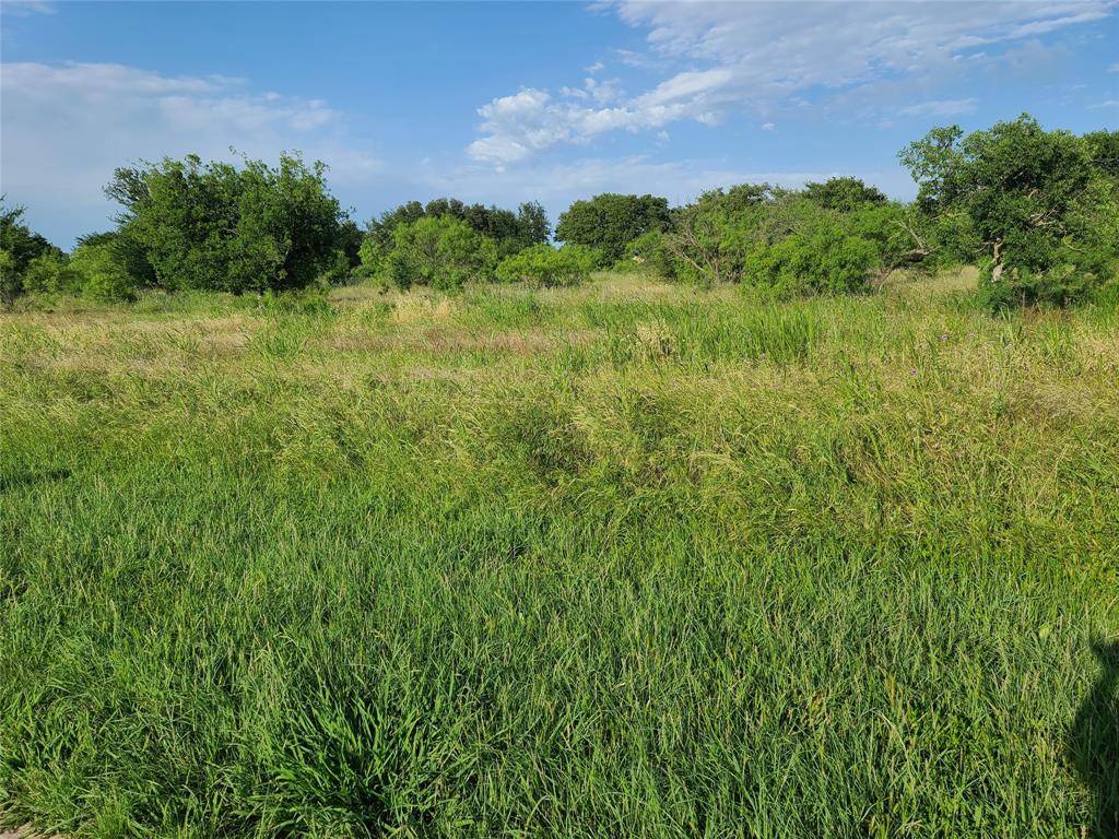 Brownwood, TX 76801,TBD Lot 31 Bear Path Way