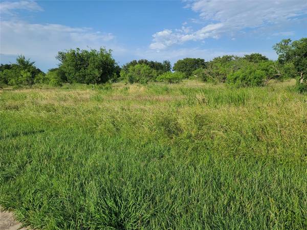 Brownwood, TX 76801,TBD Lot 31 Bear Path Way