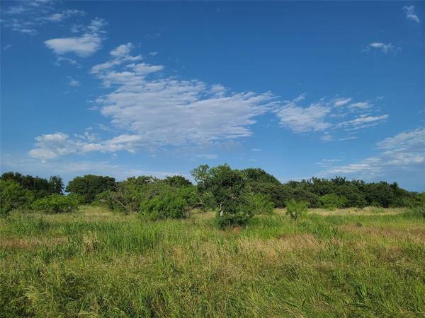 Brownwood, TX 76801,TBD Lot 31 Bear Path Way