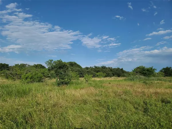 Brownwood, TX 76801,TBD Lot 31 Bear Path Way