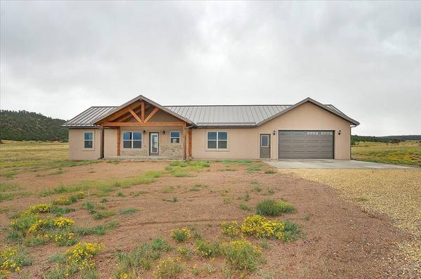 1441 County Rd 310, Westcliffe, CO 81252